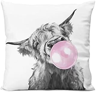 Highland Cow Bubble Home Bedroom Cushion Pillow Covers Sofa Couch Decorative Square Throw Pillow Case 18x18 In
