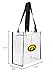 Littlearth NCAA Iowa Hawkeyes Clear Square Stadium Tote, Team Color, 11.5