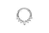 PIERCINGLINE Anillo de segmento Clicker con 7 cristales de acero quirúrgico - Piercing para nariz, tabique, oreja, hélix o tragus en Color Plata