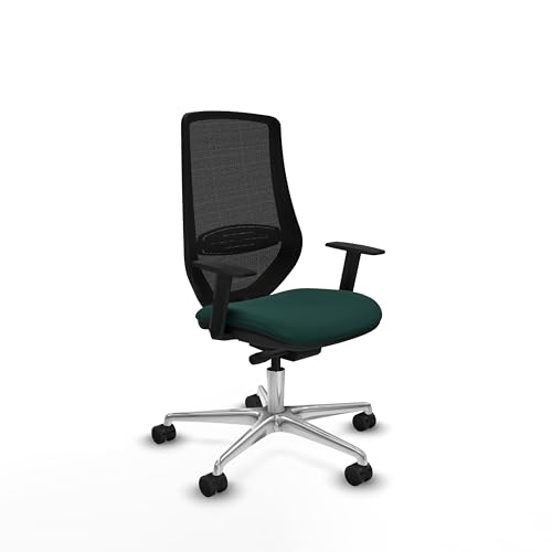 Piqueras y Crespo Silla ergonómica Mardos con Brazos Ajustables, Respaldo Fijo y Apoyo Lumbar 1D, Ideal para 8 Horas de Uso y Peso máximo de 120 Kg