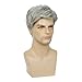 Baruisi Men Wigs Short Gray Synthetic Heat Resistant Natural Halloween Cosplay Hair Wig