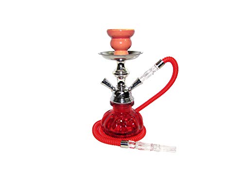 Pumpkin hookah with cage 11inch (11 inch, blue,red,green,purple, …