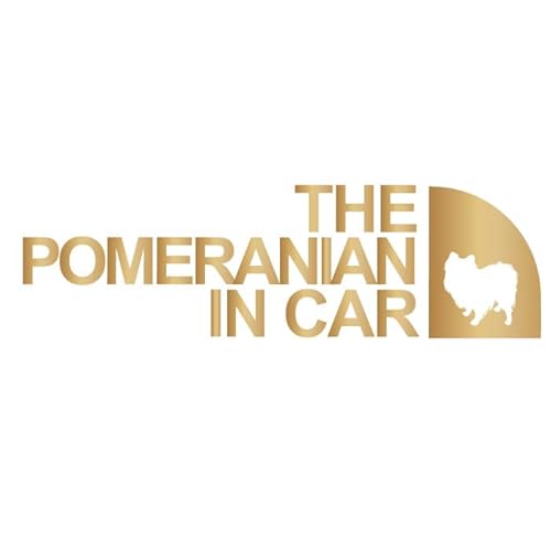 AEghA |jA   Vv  ۂ߂ɂ XebJ[ V[ hbO C J[  Ă܂ Lv oR uh 킢 ObY G Mtg v[g j q Ԃ JCC IV h  