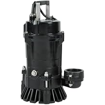 NorthStar Cast Iron Submersible Trash Water Pump, 3965 GPH Max. Flow, 2in. Port