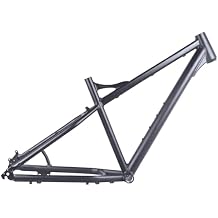 Snow Beach Frame 26er 19 Aluminum Alloy Frame 26 * 4.0/4.5/4.9 Beach Bike Disc Brake Frame QR 195 Mm Internal Routing with Tail Hooks