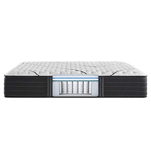 Beautyrest Black L-Class Plush King Mattress #TOP3
