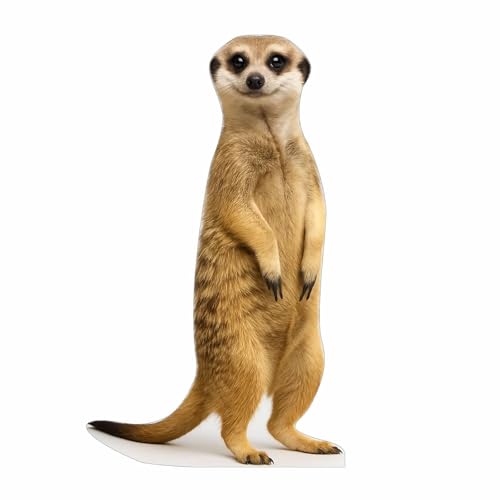 Image of Meerkat 2FT Life Size Cardboard Cutout - A Fun Animal Standup for Photo Booths, Birthday Parties, and Events