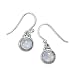 Rainbow Moonstone Polished Edge Round Sterling Silver Earrings