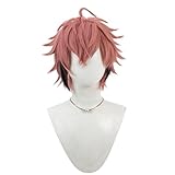 一ノ瀬うるは さくらみこ 胡桃のあ 戌神ころね アイドル コスプレウィッグ メッシュ コミケ cosplay 仮装 変装用 かつら ロング コスチューム小物 wig cosplay 文化祭 祭り イペード (赤文城)