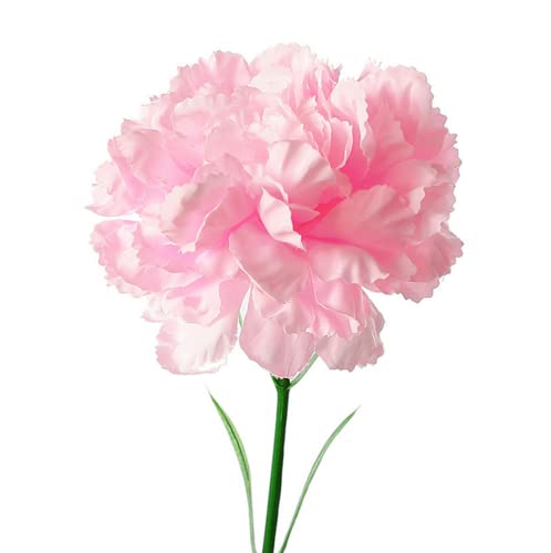 Ramo de 10 racimos de claveles de seda artificial, ramo de cabeza de flor individual de 20 pulgadas y hojas verdes para accesorios de fotos, fiesta en el hogar, boda, celebración de flores (rosa)