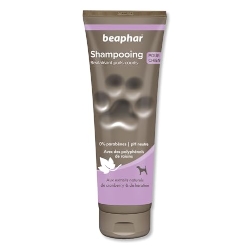 BEAPHAR – Shampoing Premium revitalisant pour chien aux poils courts – Aux extraits naturels de cranberry & de kératine – Fortifie, tonifie et protège le pelage – pH neutre et sans parabens – 250 ml