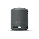 Sony SRS-XB100 - Kabelloser Bluetooth-Lautsprecher, tragbar, leicht, kompakt, Outdoor, Reise, langlebig, IP67 wasser- und staubdicht, 16 Std Akku, Trageriemen, Freisprechfunktion, schwarz