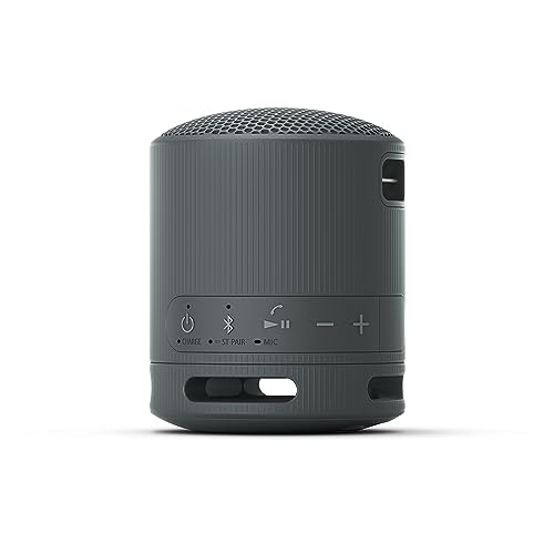 Sony SRS-XB100 Wireless Bluetooth Portable Lightweight Super-Compact Travel Speaker, Extra-Durable IP67 Waterproof & Dustproof, 16 Hrs Batt, Versatile Strap, Extra Bass & Hands-Free Calling-Black 8 31EdyfL8FzL