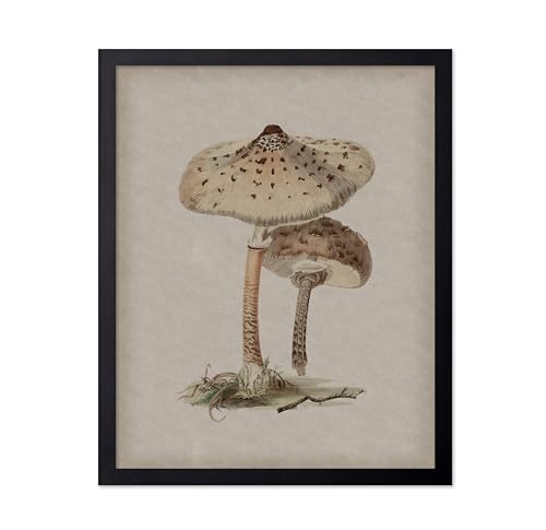 Monem Art Vintage Mushroom Poster - Retro Parasol Mushroom Print