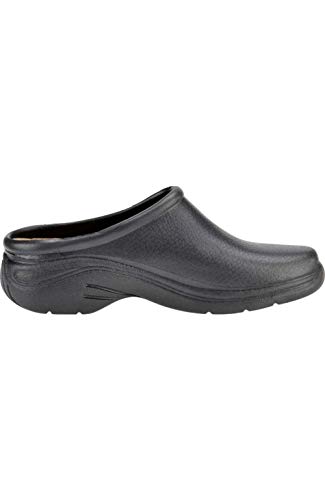 quarky clogs