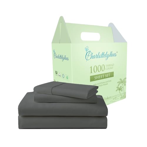 CharlottelyHues Sheet Set 4 Piece 100% Egyptian Cotton Queen (Dark Grey)
