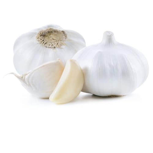 Fresh Garlic 230-250 gm China