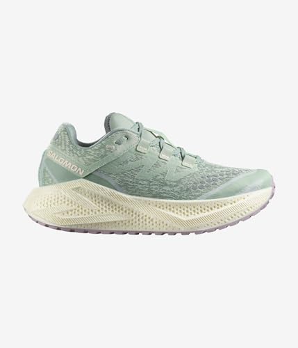 SALOMON(サロモン) ランニングシューズ ジョギングシューズ AERO GLIDE 3 GRVL L47812500 レディース