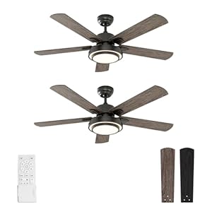 warmiplanet Ceiling Fans with Lights and Remote Control, 52 Inch, 6 Speeds Reversible DC Motor, 3 Color Dimmable Light, Timer, Noiseless, Black, 5 Blades, 2 Pack