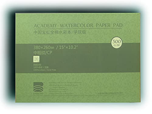 BAOHONG Academy Grade Watercolor Block, 100% Cotton, Acid-Free, 140LB/300GSM, Cold Press Textured, 20 Sheets per Block (Cold Press 15'x10.2')