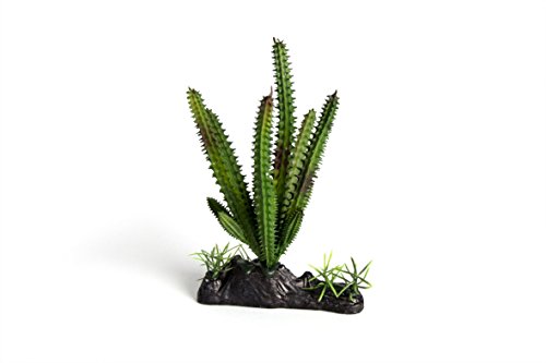 RepTech Planta Falsa, Cactus Suave Cover