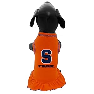 All Star Dogs Syracuse Hundekleid S