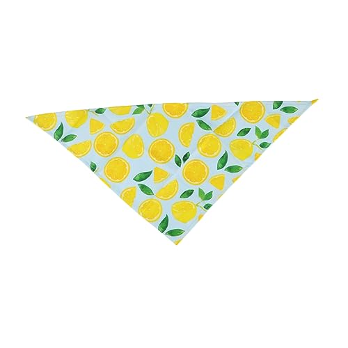 YARNOW ybgpXJ[t plbJ`[t Lp悾ꂩ ʋC 􂦂f o_iJ[ qqL̃hXAbvɂ