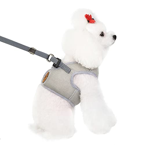 Pulls d'hiver classiques pour chiens petits modèles gilet poitrine et dos - 2