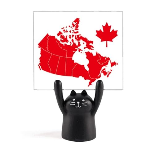 ԂJGf̗t̃V{Ji_n̒n} J[gD[LX^h^z_[