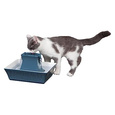 Drinkwell Pagoda Pet Fountain - Dog Water Bowl Dispenser Cover