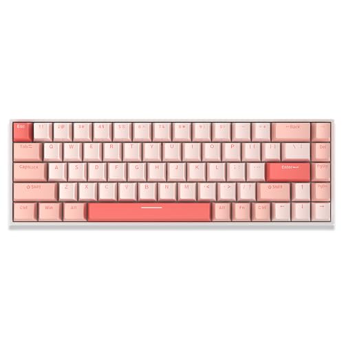 メカニカルキーボード 赤軸　英語 REDRAGON ゲーミングキーボード 英語コンパクト ロー