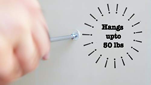 image for Steinbach Drywall Anchors with Steel Drywall Screws | Kit 40 pcs - Pla