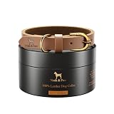 NOAH & PAW Small Dog Collar, Genuine Leather Dog Collar with Oil-Wax Finish, Heavy Duty Metal Buckle, Unisex Colors for Girl and Boy, Neck Size 11'-15' (Camel).