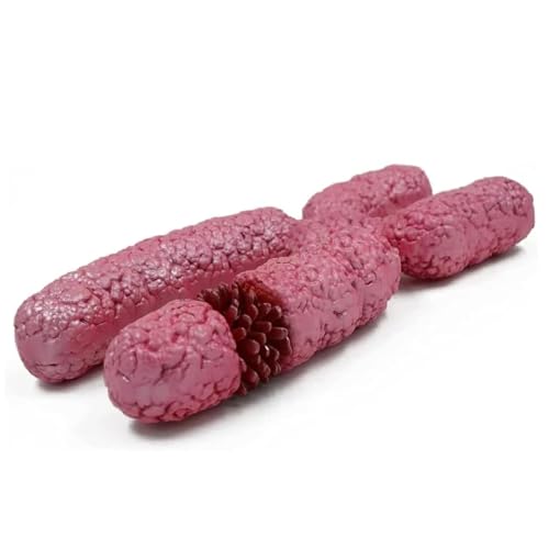 Modèle du Chromosome X aux structures colorées didactiques - 8