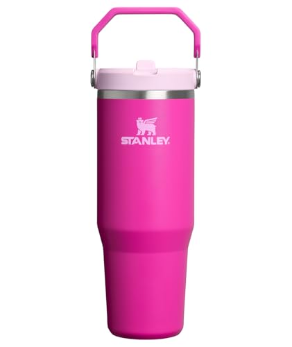 STANLEY IceFlow 2.0 Flip Straw Tumbler with Handle 30 oz | Twist On Lid and Flip Up Straw | Leak Resistant Water Bottle | Insulated Stainless Steel | BPA-Free | Violet Blossom