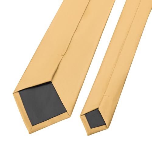 KOOELLE Men's Ties Solid Pure Color Plain Neckties Formal Champagne Ties For Men