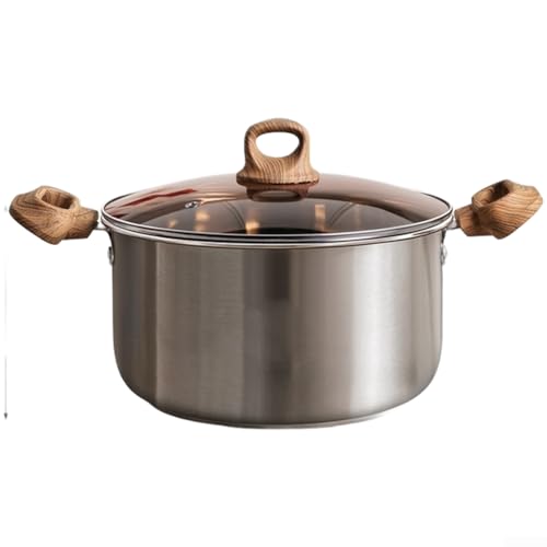 201 - Olla de sopa de acero inoxidable con doble oreja, compatible con estufa de gas, cocina de inducción y cocina eléctrica, incluye asas resistentes al calor (20 cm)
