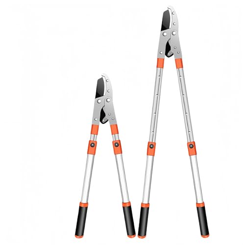 Lk}؂ SK5| SK5Yf|n  ΂ |΂ }؂΂ ̂  ؂؂ ؒfa50mm ʎ  C} |pi yʃA~ (Lki68`100CMj) [sAi]