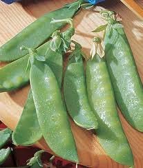 Go Green Snow Peas Carboy 30 Seeds (B00KT07O7I) Amazon Price History, Amazon Price Tracker