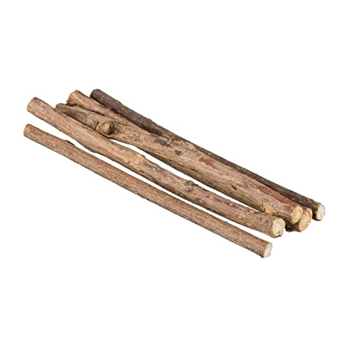 Image of Trixie: - Matatabi Chewing Stick | Interactive Cat Toy, Attracts and Stimulates Cats Hunting Instincts | Made with Dried Matatabi Fruits, Supports Dental Hygiene and Cleans Teeth - 10 Gm