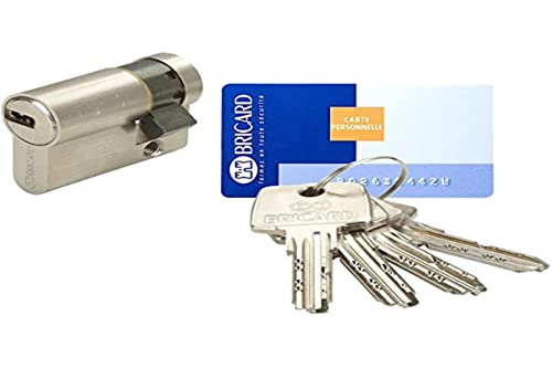 Best Deal Product Bricard 15721 Astral Lock Cylinder Half Length 40 mm Nickel-Plated