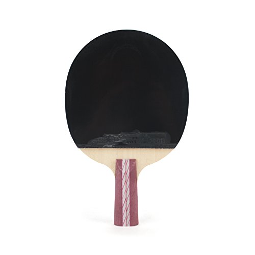 Image of DHS Ping Pong Paddle A4006, Table Tennis Racket - Penhold
