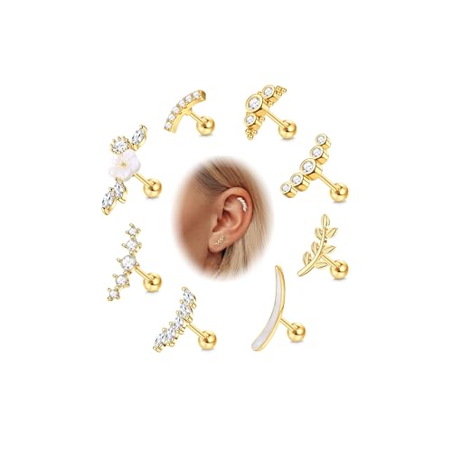 Ensemble piercing conque et rook finition miroir or et argent