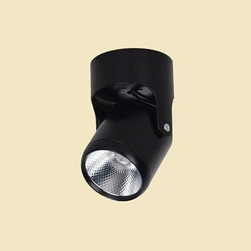 VIGSNTEP Lampada Singola a LED Faretto da Parete a soffitto Faretti da Montaggio Piccolo Tipo a soffitto Soggiorno Corridoio TV Sfondo Faretto orientabile da Parete 7W