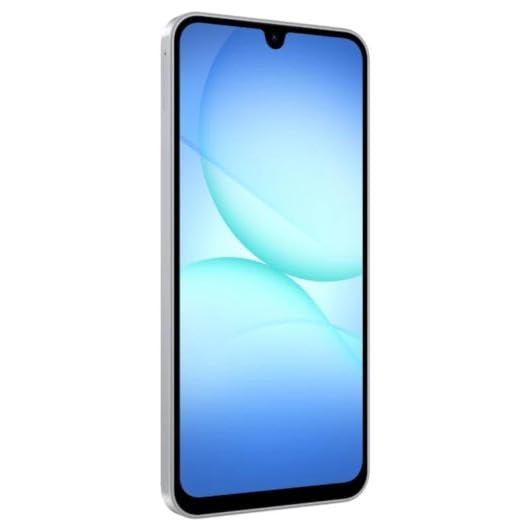 Samsung Galaxy A17 4G 8 Go/256 Go Gris (Gris) Double SIM