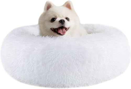 LxbhA xbhA ybgxbhA ~ ybgNbV ʂ₵ ybgpi ӂӂ ~ h ی^ g _炩 ΍ ^p Lp (Oa30 CMiybg1Ґj,F)