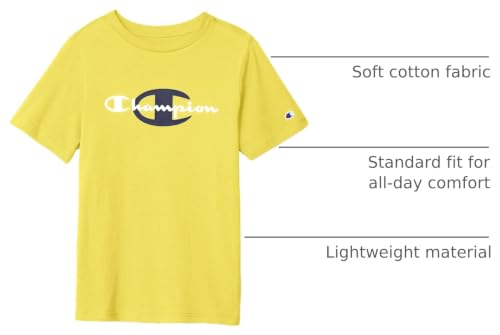 Image of Champion Men's Heritage Short Sleeve Tee, Men's T-Shirts, Vintage Shirts, Men's Tee Shirts, Graphics