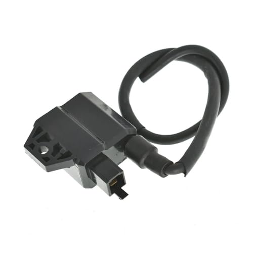 Bobina de encendido para solucionar fallos de arranque en tu quad LT80 6