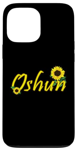 Oshun Orishas Goddess Oxum Ifa Yoruba Religion �X�}�z�P�[�X iPhone 13 Pro Max �p