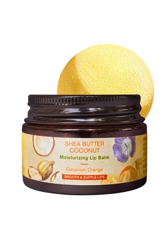 How to Make Your Own Natural Skincare Products at Home 46 The Nature Mill Shea Butter Coconut Moisturizing Lip Balm. All na...